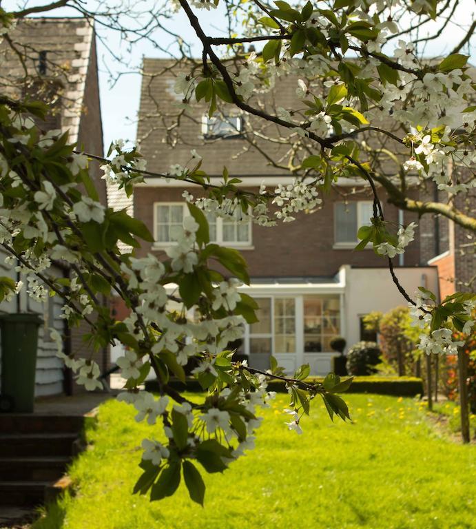B&B Den Boomgaard Moorsel Exterior photo